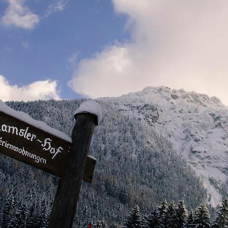 Ferienwohnungen Ramslerhof Inkl. Chiemgaukarte Ruhpolding Ngoại thất bức ảnh