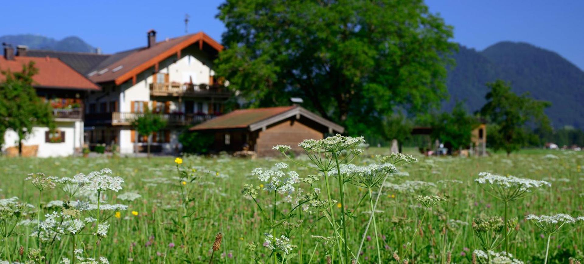 Ferienwohnungen Ramslerhof Inkl. Chiemgaukarte Ruhpolding Ngoại thất bức ảnh